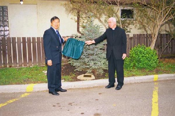 Tree Planting