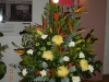 DSCN0356