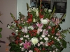 DSCN0357