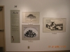 DSCN0403
