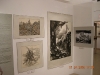 DSCN0409